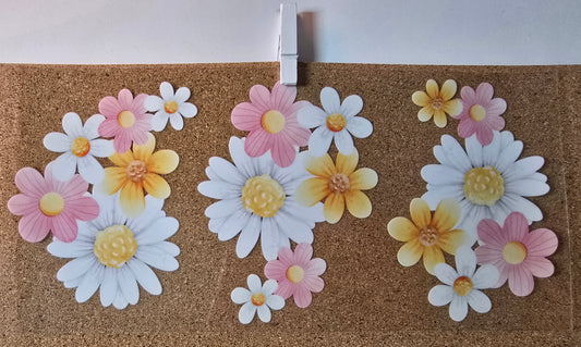 Daisy - pink, white, yellow